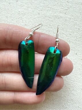 Handmade Elytra Iridescent Beetle Wing Earrings Sterling Silver